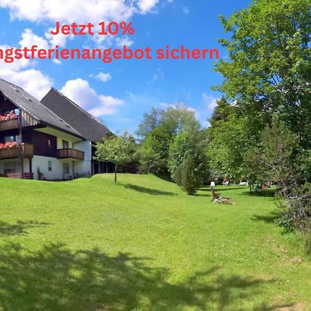 Naturidyll Am Fluss - Ferienhaus Albmatte - Grosser Garten Zum Grillen Und Entspannen-Direkt Neben Dem Radon Revitalbad Mit Sauna Und Thermalbecken Sankt Blasien Exteriör bild