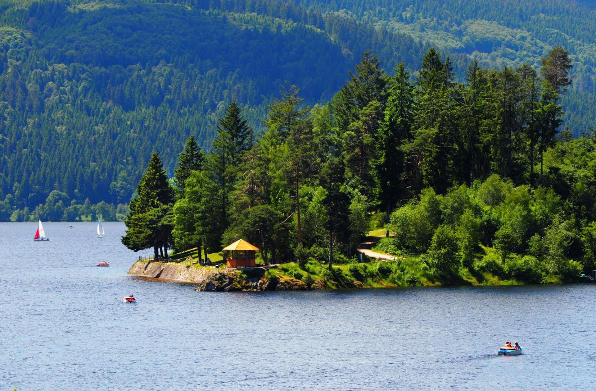 Naturidyll Am Fluss - Ferienhaus Albmatte - Grosser Garten Zum Grillen Und Entspannen-Direkt Neben Dem Radon Revitalbad Mit Sauna Und Thermalbecken Sankt Blasien Exteriör bild