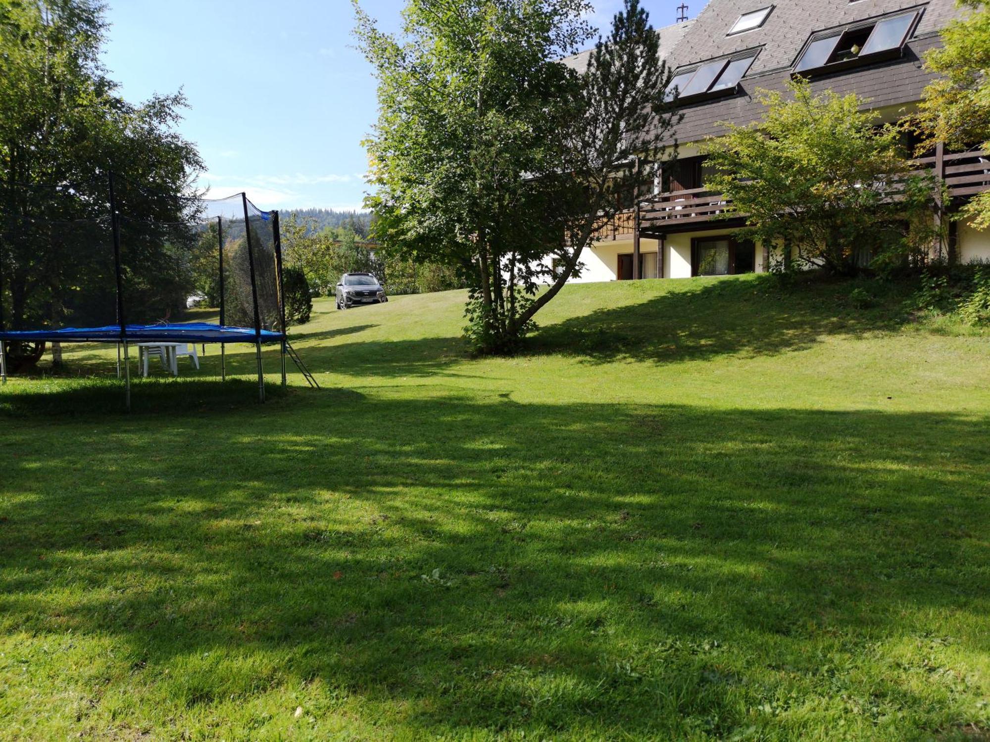 Naturidyll Am Fluss - Ferienhaus Albmatte - Grosser Garten Zum Grillen Und Entspannen-Direkt Neben Dem Radon Revitalbad Mit Sauna Und Thermalbecken Sankt Blasien Exteriör bild
