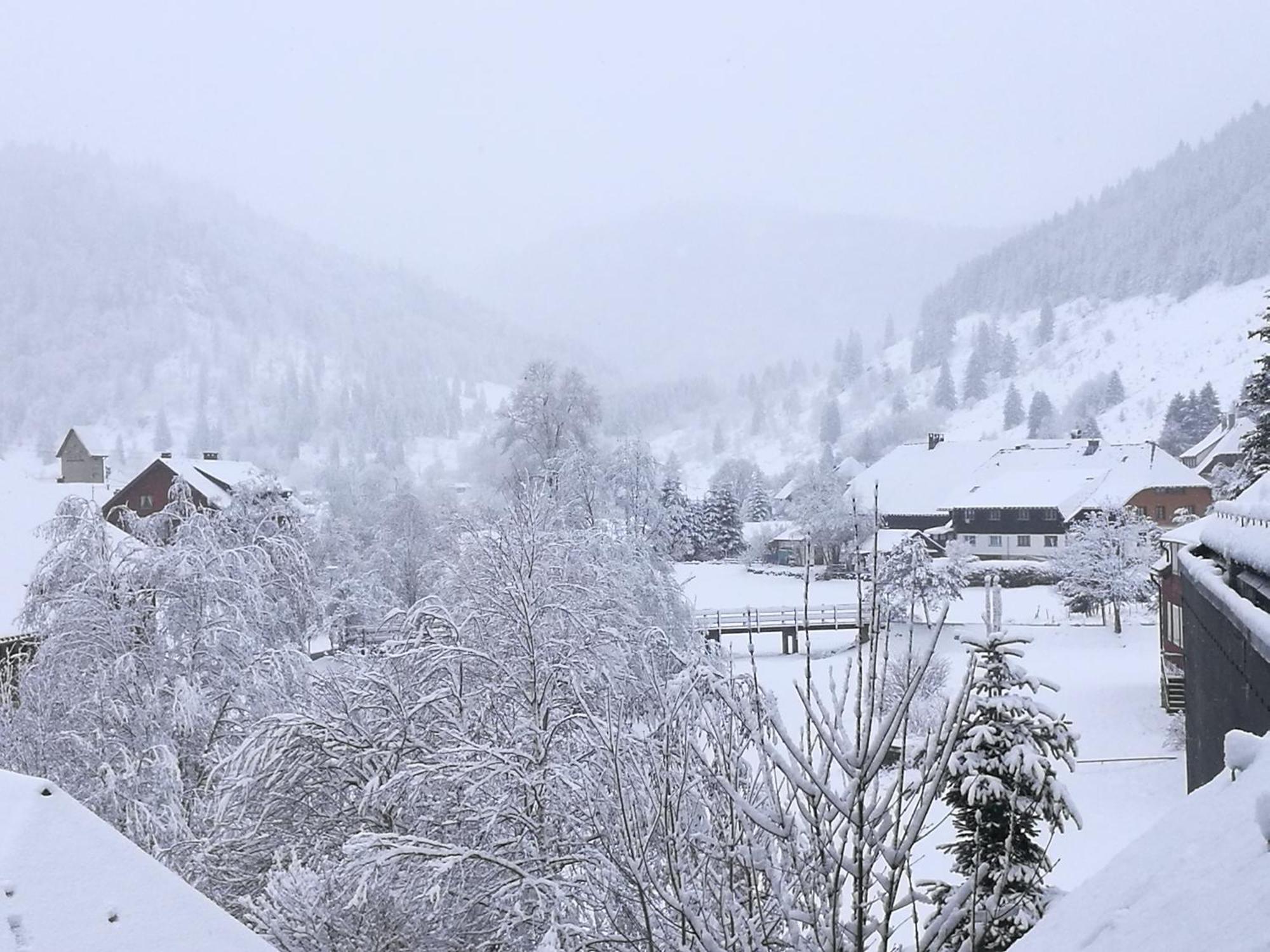 Naturidyll Am Fluss - Ferienhaus Albmatte - Grosser Garten Zum Grillen Und Entspannen-Direkt Neben Dem Radon Revitalbad Mit Sauna Und Thermalbecken Sankt Blasien Exteriör bild