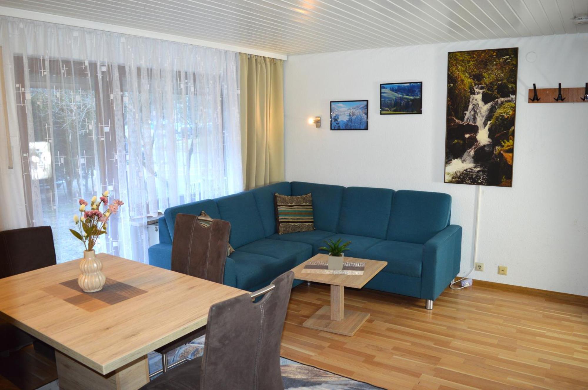 Naturidyll Am Fluss - Ferienhaus Albmatte - Grosser Garten Zum Grillen Und Entspannen-Direkt Neben Dem Radon Revitalbad Mit Sauna Und Thermalbecken Sankt Blasien Exteriör bild