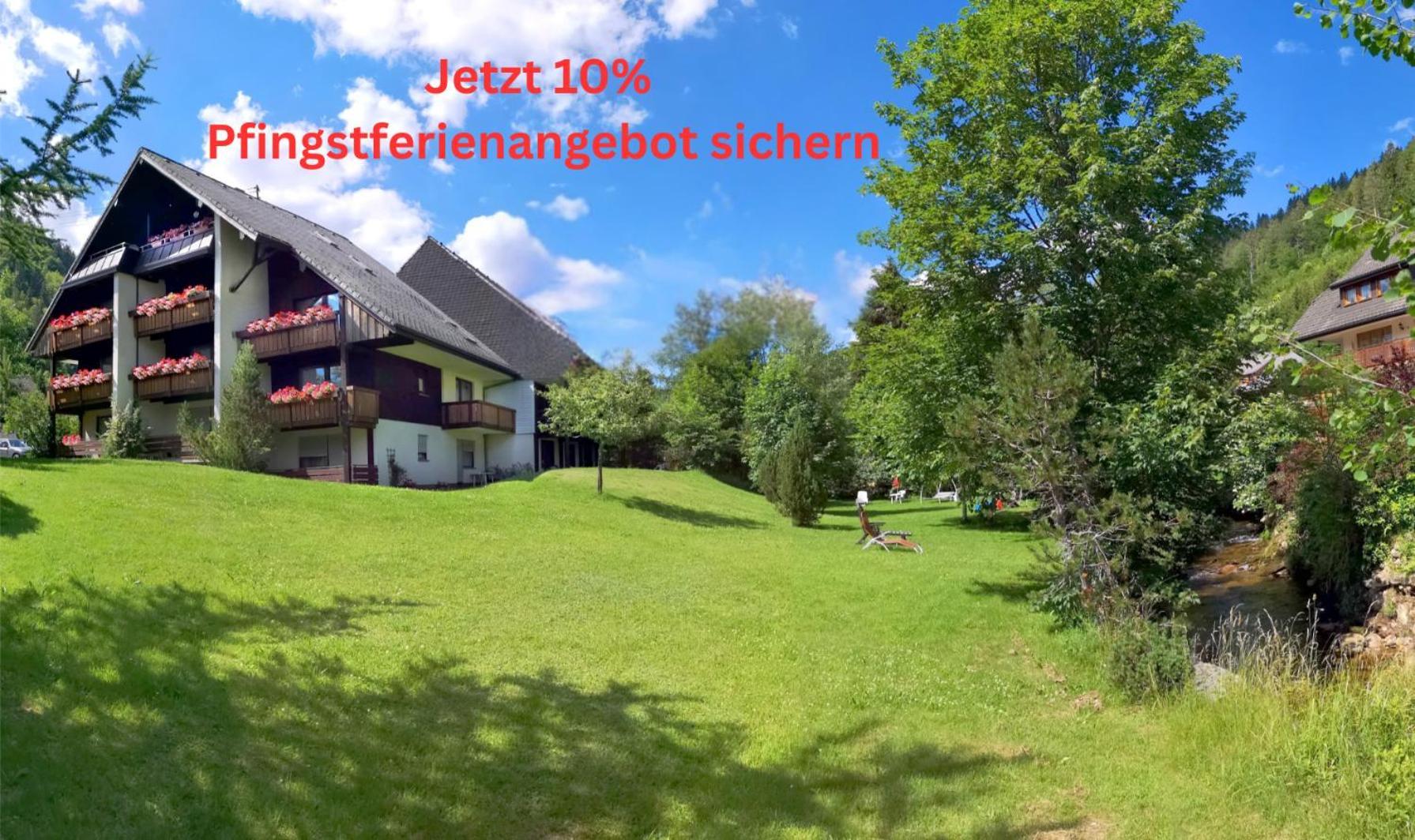Naturidyll Am Fluss - Ferienhaus Albmatte - Grosser Garten Zum Grillen Und Entspannen-Direkt Neben Dem Radon Revitalbad Mit Sauna Und Thermalbecken Sankt Blasien Exteriör bild